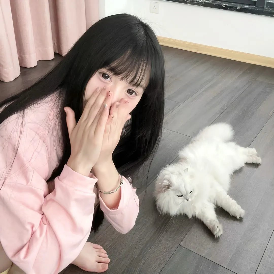 甜梦猫
